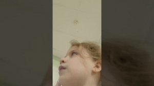 VID20260128181820.mp4