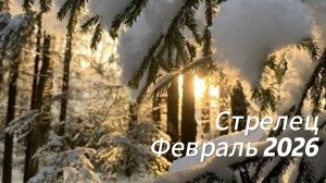 Прогноз для Стрельцов на Февраль 2026