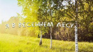 Я в весеннем лесу (Ретро под гитару) Вадим Ибрянов