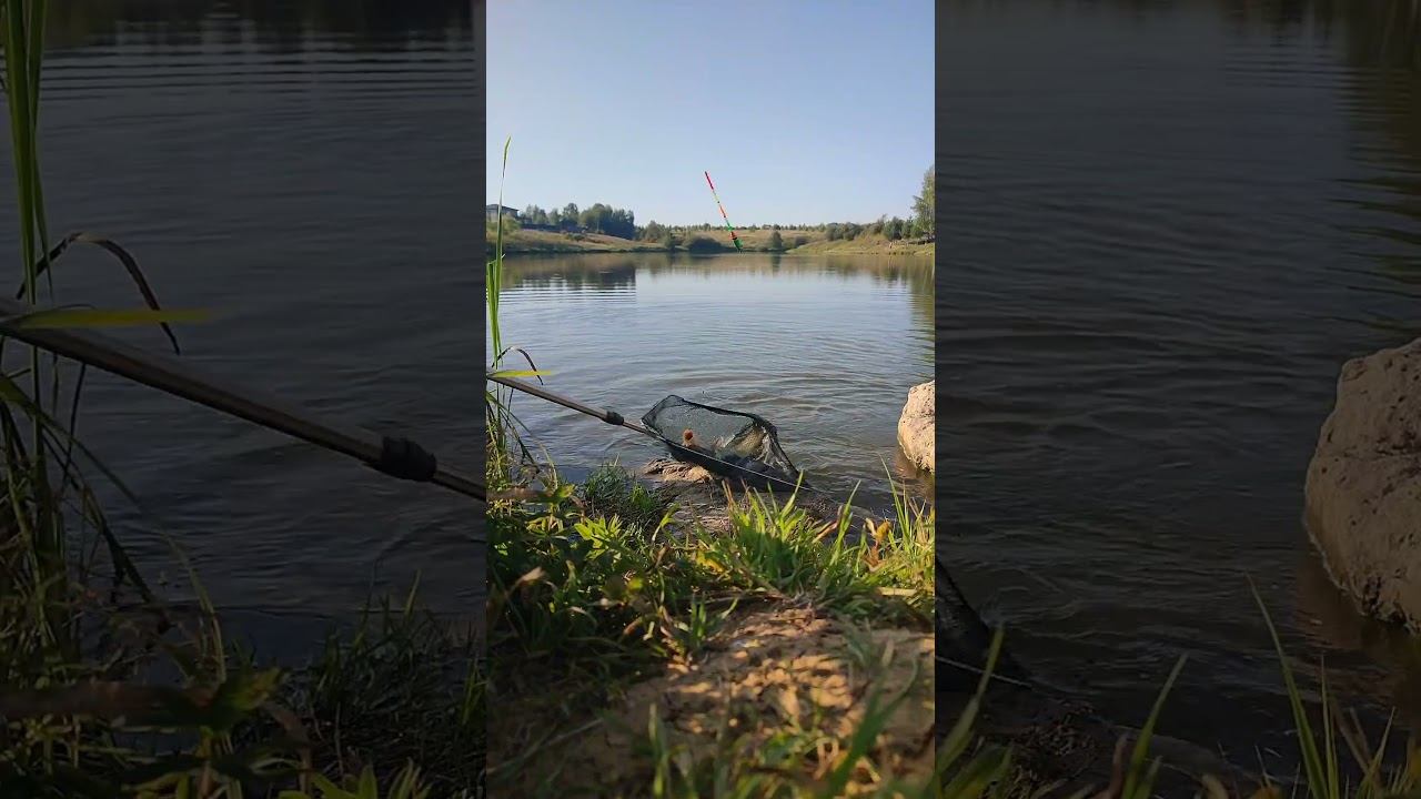 Рыбалка в Туле - Гуляй - поле рыбалка рыбалкавтуле гуляйполе