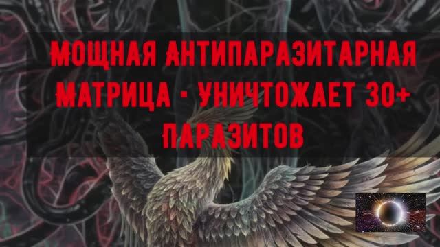 Мощная Антипаразитарная Матрица • Уничтожает 30+ Паразитов • 1150 Гц + 727 Гц смотреть онлайн