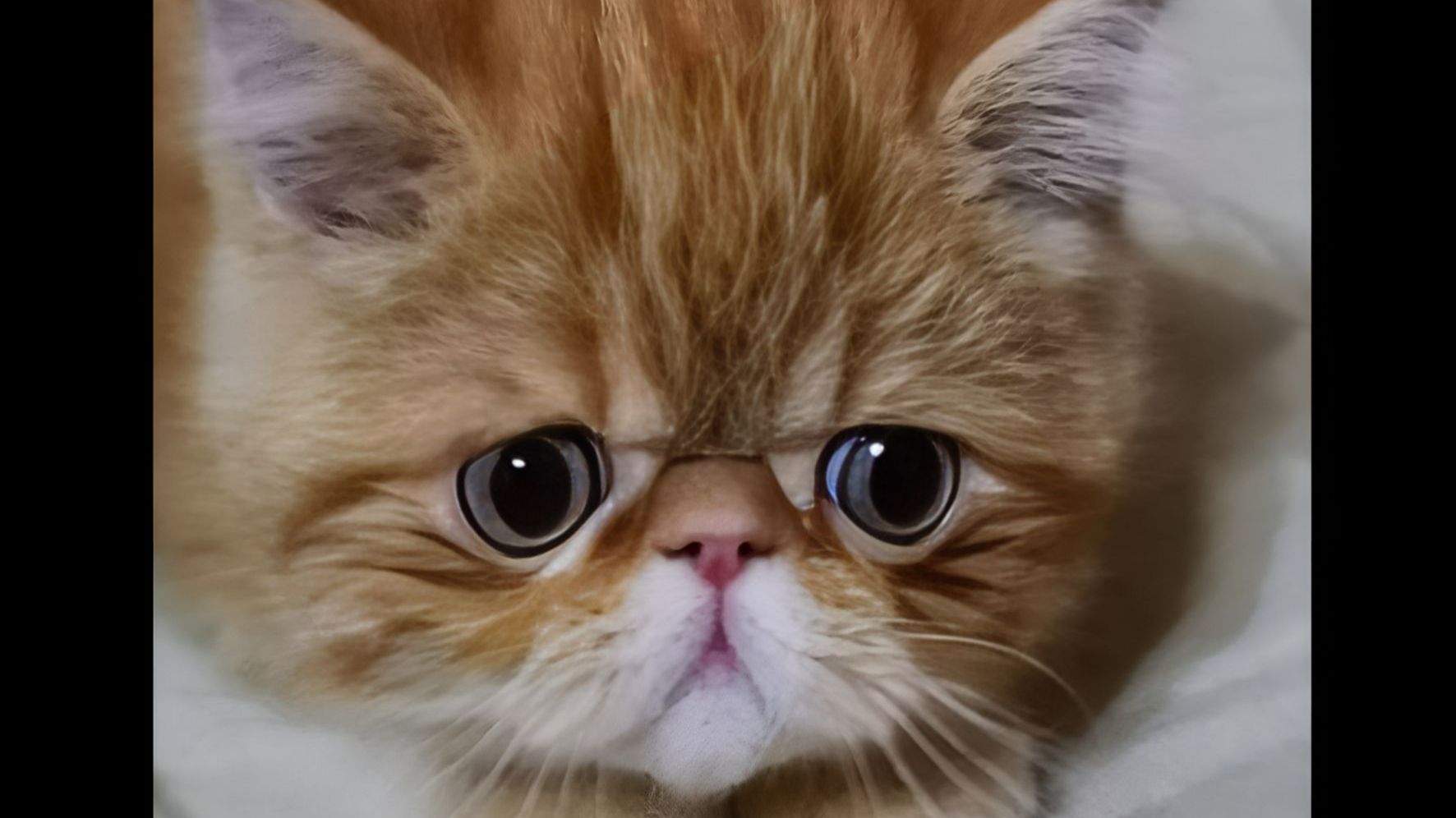 Умывашка смотреть онлайн