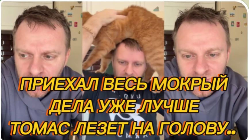 САМВЕЛ АДАМЯН, ПРИЕХАЛ ДОМОЙ ВЕСЬ МОКРЫЙ, ДЕЛА УЖЕ ЛУЧШЕ, ТОМАС ЛЕЗЕТ НА ГОЛОВУ.. смотреть онлайн