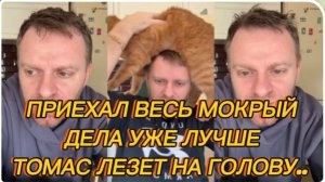 САМВЕЛ АДАМЯН, ПРИЕХАЛ ДОМОЙ ВЕСЬ МОКРЫЙ, ДЕЛА УЖЕ  ЛУЧШЕ, ТОМАС ЛЕЗЕТ НА ГОЛОВУ..