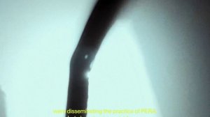 10 years of PERA OF PERFORMING ARTS