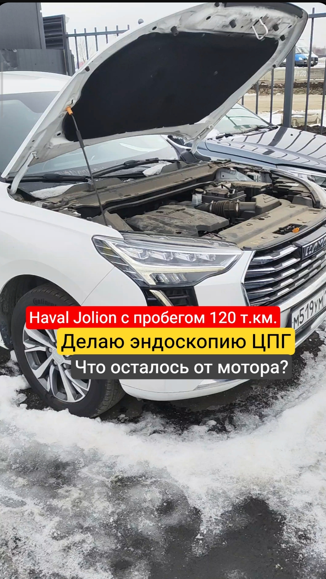Эндоскопия Хавал Джолион в Краснодаре смотреть онлайн