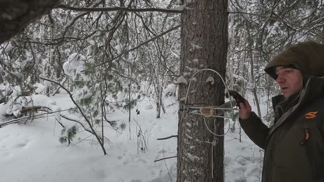 Новая территория промысла. 60 км от прежних мест. Итог – шокировал. смотреть онлайн