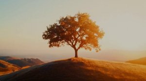 Последний день Помпеи