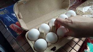 Закупка Магнит//Признаюсь, очень хочу сладкого//Ради дочи-дорого,богато//