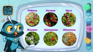 Урок Окружающий мир, тема Растения  развивающее для детей развивавши