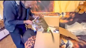 Люся ЛУЧШЕ ВСЕХ знает как нужно распечатывать замечательные подарочки!