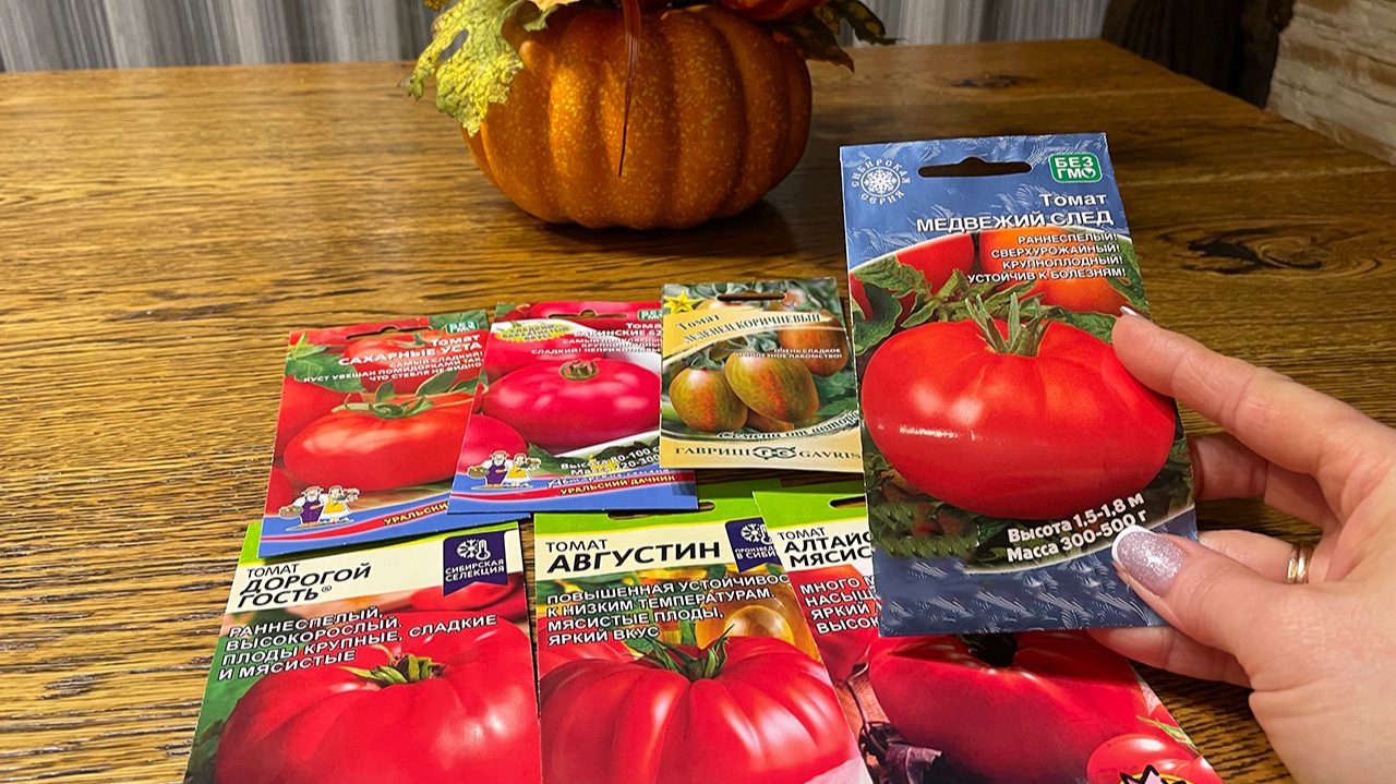 ТОМАТЫ для раннего урожая! Обзор семян смотреть онлайн