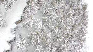 Николай Асеев "Прелесть утренней зимы!"