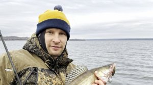 Рыбалка на судака 11.2025