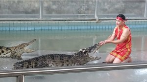 Парк древних камней .Крокодиловая ферма.Шоу крокодилов .Паттайя .Таиланд