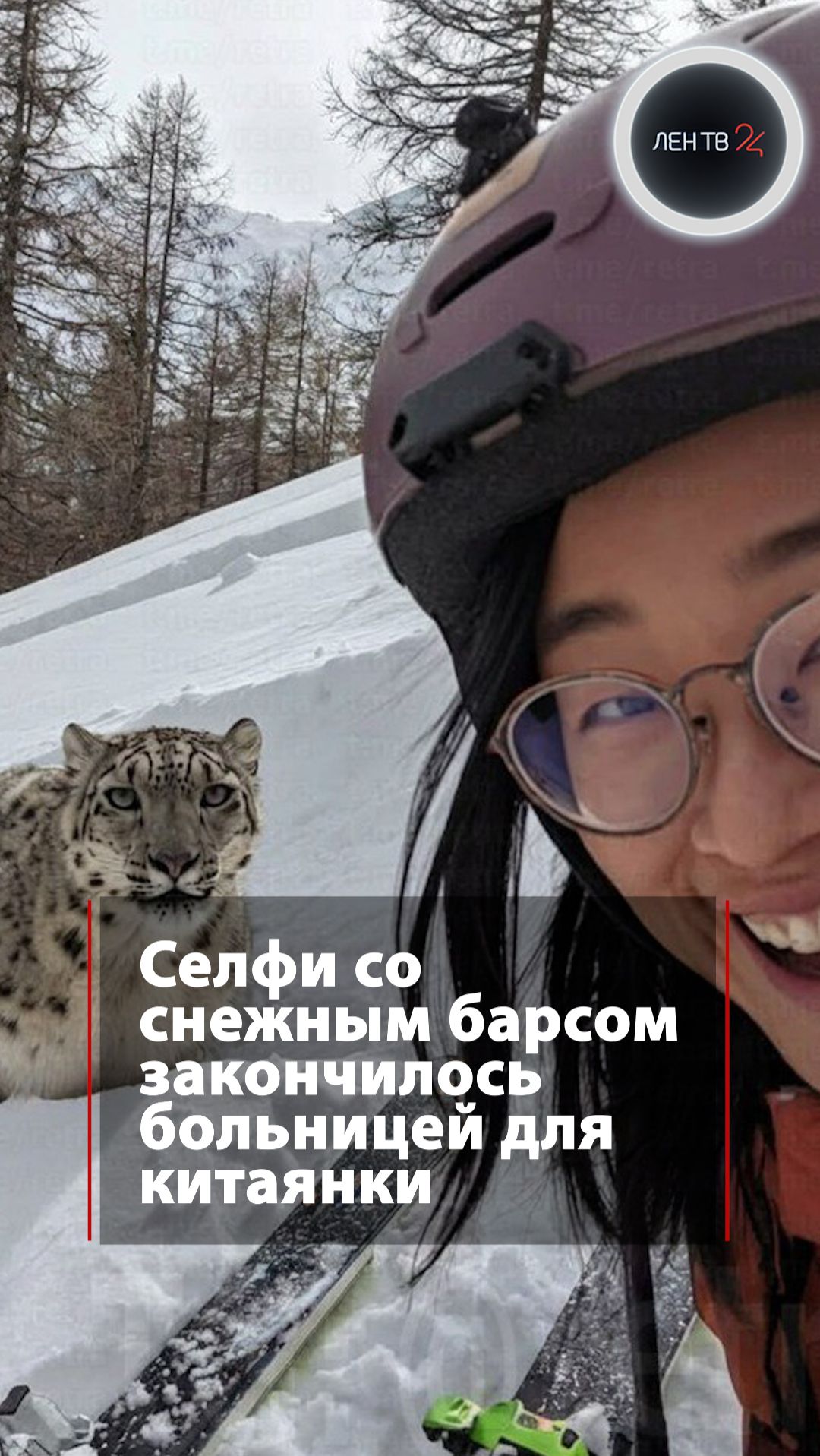 Селфи со снежным барсом закончилось больницей для китаянки смотреть онлайн