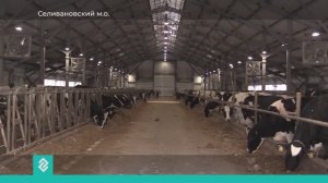 В Селивановском округе запустили новый доильно-молочный блок животноводческого комплекса
