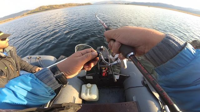 ГИГАНТСКАЯ ЩУКА КЛЮНУЛА смотреть онлайн