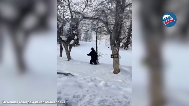 Опасное селфи: китаянка решила сфотографироваться со снежным барсом и была атакована диким зверем смотреть онлайн