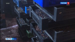 В Коми более чем в два раза перевыполнен план по экспорту