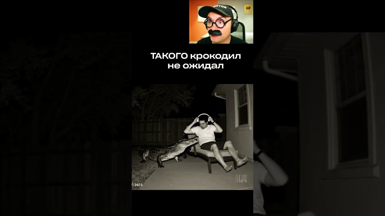 Такого крокодил точно не ожидал смотреть онлайн