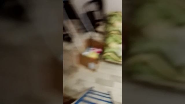 1000001794.mp4 смотреть онлайн