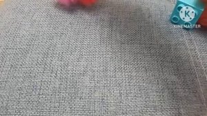 Приключения ТНТ почему дрынает носят