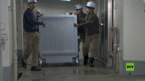 نهاية "دبلوماسية الباندا".. اليابان تودع آخر اثنين من حيوانات الباندا العملاقة إلى الصين