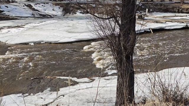 Открытие сезона рыбалки 30.03.2025. смотреть онлайн