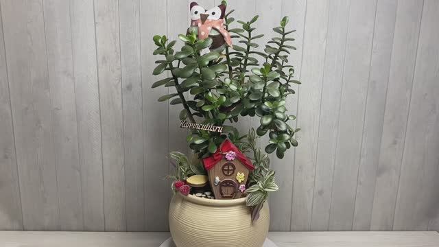 Композиция с денежным деревом "Сказочный лес" смотреть онлайн