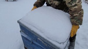 ф.69.  просматриваем пчелосемьи у дяди Коли.