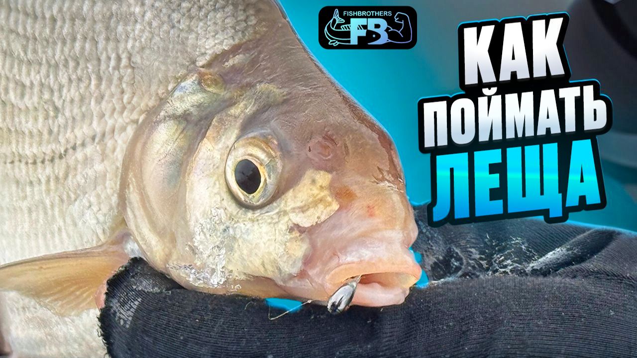 Как поймать леща на водохранилище? Наши шаги о А до Я. смотреть онлайн