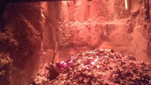 Новый проект печка