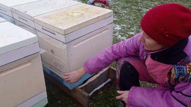 Начало зимовки 2025-2026 г.г. смотреть онлайн