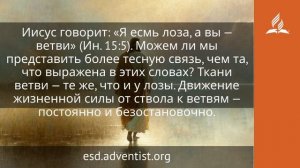 30 января 2026. Он Тот, Кто лучше десяти тысяч других. Иисус — величайшее имя | Адвентисты