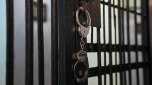 Посольство РФ в США подтвердило задержание в Калифорнии двух гражданок России