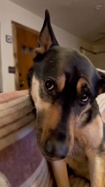 20f4bc9faefaaa91949716bc9007b742.mp4 смотреть онлайн