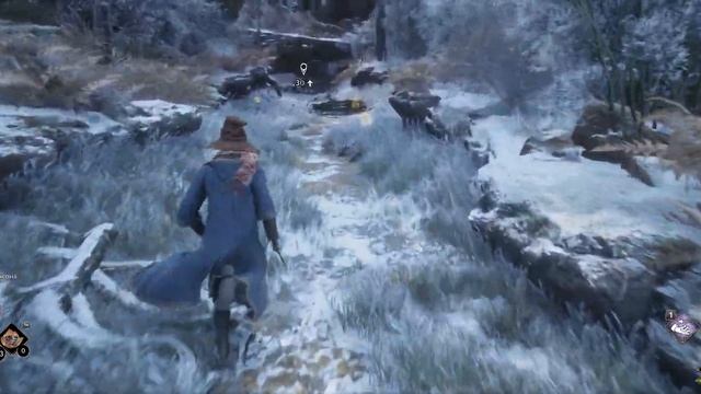 Hogwarts Legacy #58 Забытое яйцо смотреть онлайн