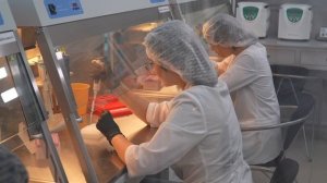 Ректор говорит:  новости о развитии науки в СКФУ от первого лица