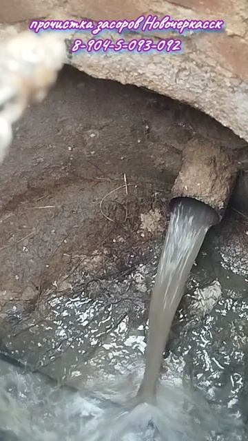 Поднамотали корней смотреть онлайн