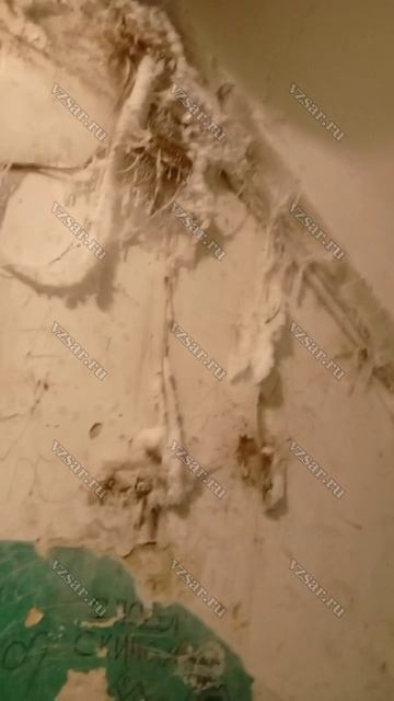 Жильцы дома на Прудной более пяти лет ждут расселения и замерзают смотреть онлайн