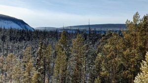 Мыраи 2024 булт