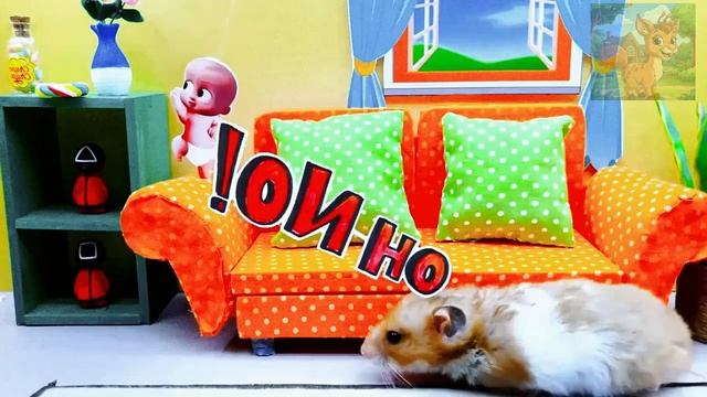 Маленький хомяк теряется в аквариуме, но сбегает, используя своё обоняние для поиска еды! смотреть онлайн