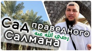 Сад праведного Салмана (да будет доволен им Аллах) (Колодец Фукайр /بئر الفقير)