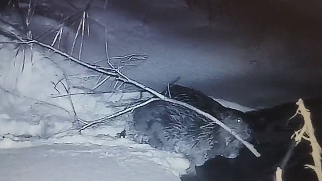 1000043069.mp4 смотреть онлайн