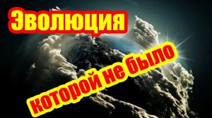 Эволюция, которой не было