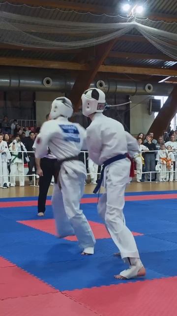 Чемпионат, Первенство и Фестиваль Ростовской области по киокушин смотреть онлайн