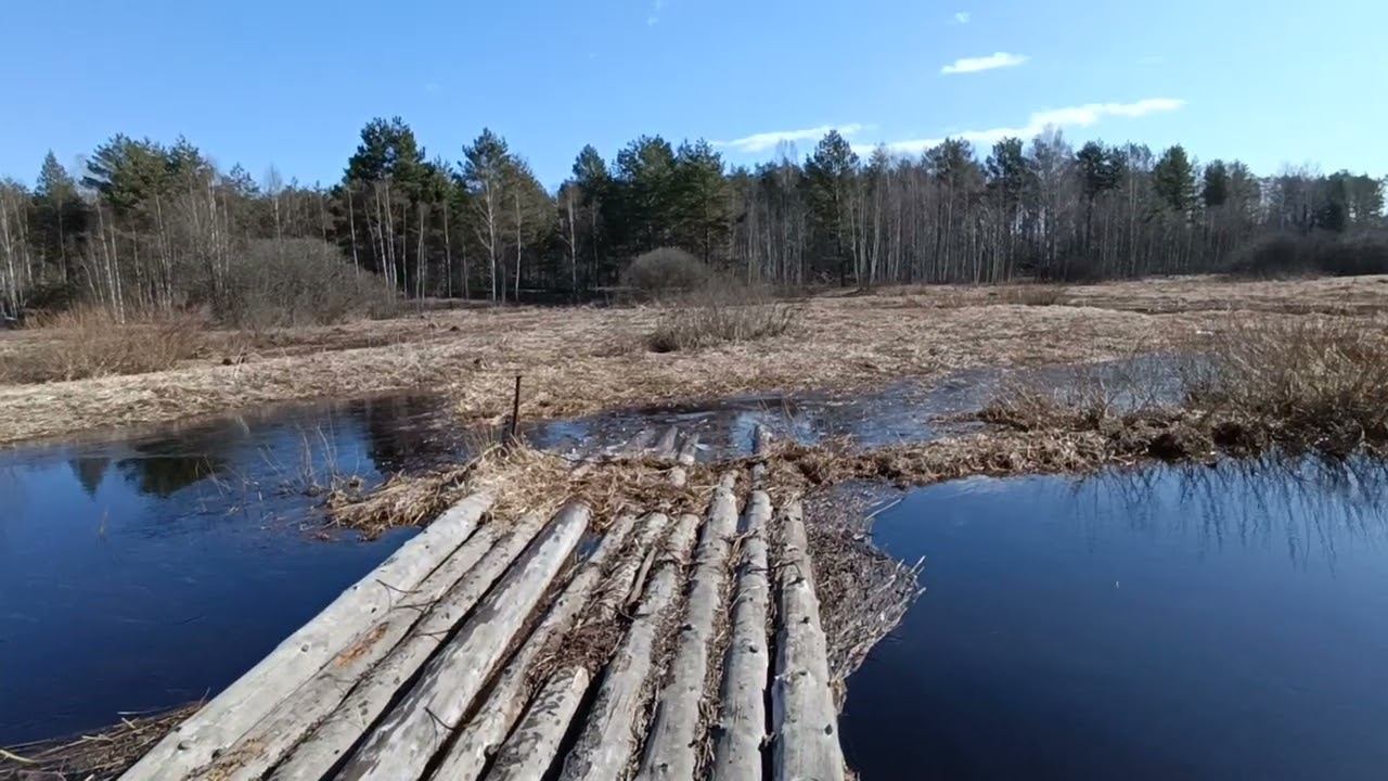 Простор в глуши !!! смотреть онлайн