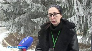 Т1ема шерашка Ленинграде лаьттача хьалах дийцар Наьсаре