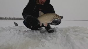 Проверка удочек. 49 день.